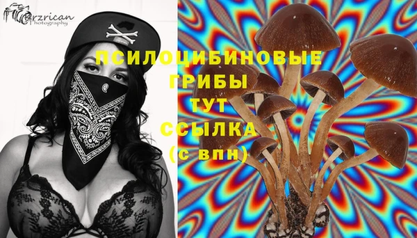 альфа пвп Беломорск