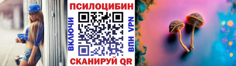 Галлюциногенные грибы MAGIC MUSHROOMS где продают Вятские Поляны